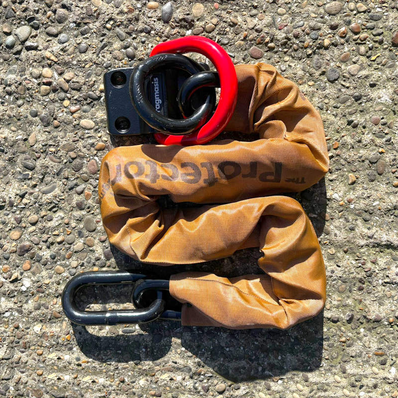 Pragmasis Protector 22mm Torc Edition