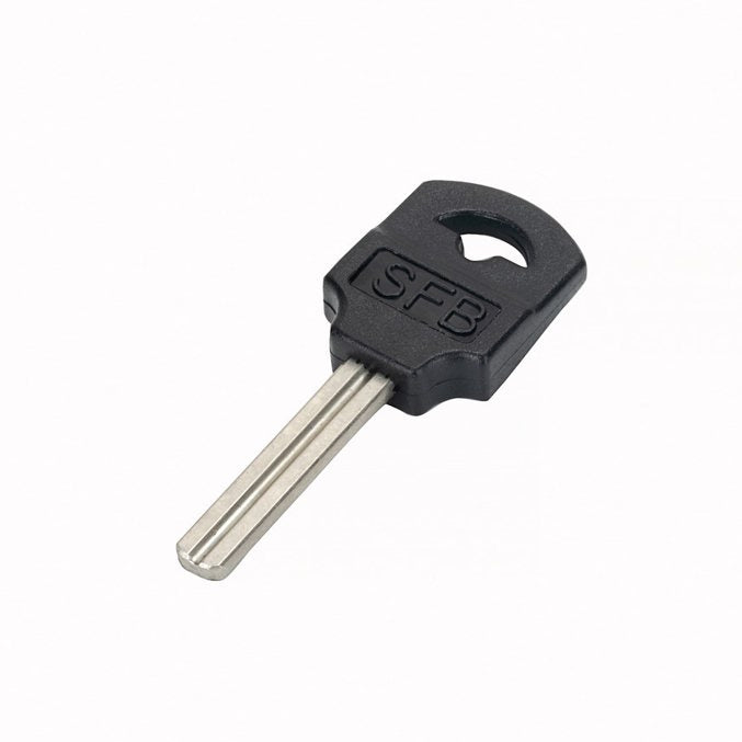 RoundLock/DIB D-Lock Key Blank