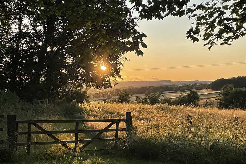 How to Protect Your Farm and Farmland from Common Security Threats